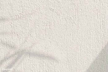 Shadow of leaves on a concrete wall | Free  photo - 2310880