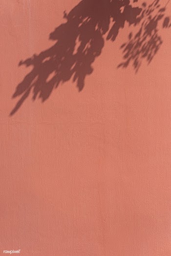 Shadow of leaves on an orange wall | Free  photo - 2264388