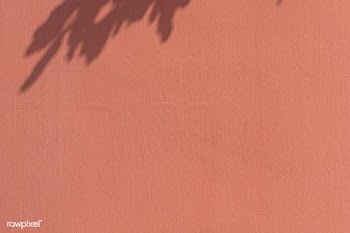 Shadow of leaves on an orange wall | Free  photo - 2310887