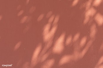 Shadow of leaves on an orange wall | Free  photo - 2312965