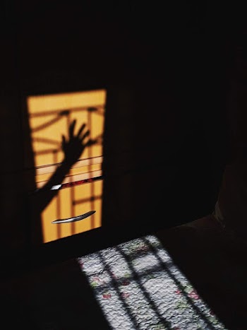 Shadow of Person's Hand