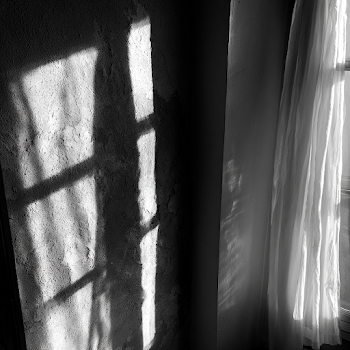 Shadows and Light in a Minimalist Interior