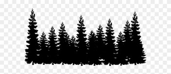 Shadows Clipart Pine Tree - Pine Trees Clipart Black And White