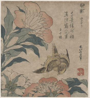 Shakuyaku kana ari. Original from the Library | Free Photo - rawpixel
