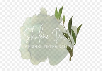 Shalene Dawn Photography Edmonton Alberta Elopement - Agave