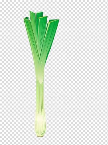 Shallot Scallion , Green vegetables transparent background PNG clipart
