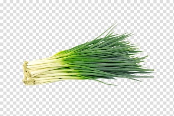 Shallot Vegetable Allium fistulosum Bulb Scallion, Bunch of onions transparent background PNG clipart