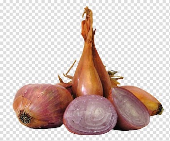 Shallot Vegetable Allium fistulosum Yellow onion, Shallot Onions transparent background PNG clipart