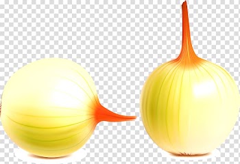 Shallot Vegetable Garlic Onion ring, onion transparent background PNG clipart
