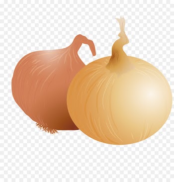 Shallot Yellow onion Onion ring Vegetable - PNG onion onions vector material 