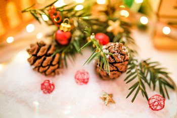 Shallow Focus Brown Pinecone Near Red and Black Ornament