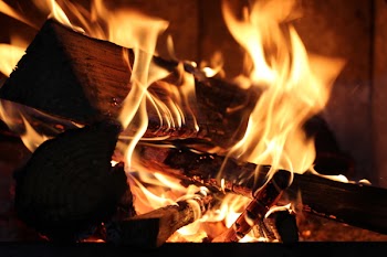 Shallow Focus of Bonfire