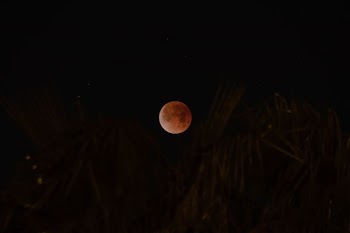 shallow focus of moon