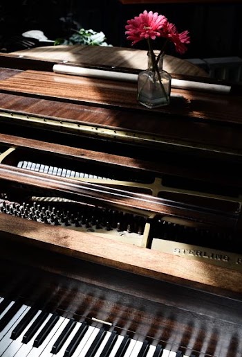 shallow focus of upright piano