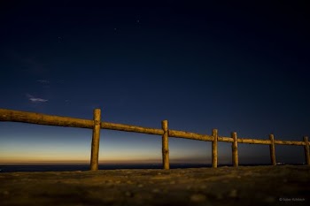 shallow focus of wooden fence