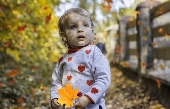 Shallow Focus Photo of Baby Holding Maple Leaf