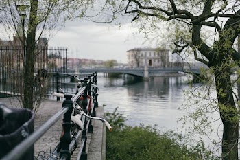 shallow focus photo of bicycles