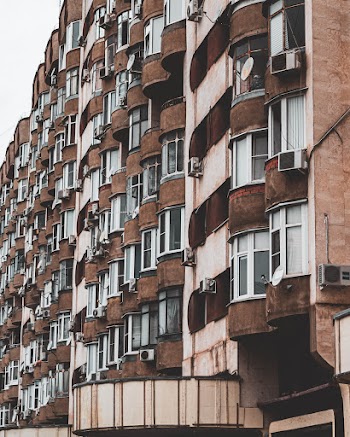 Shallow Focus Photo of Brown Building