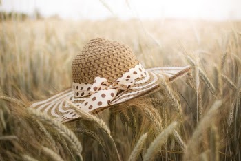 Shallow Focus Photo of Brown Straw Hat on Wheat Field