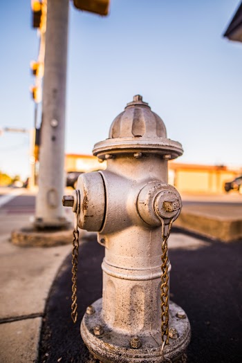 Shallow Focus Photo of Fire Hydrant