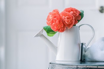 Shallow Focus Photo of Flowers