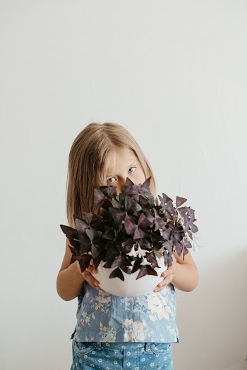Shallow Focus Photo of Girl Holding Purple Plants