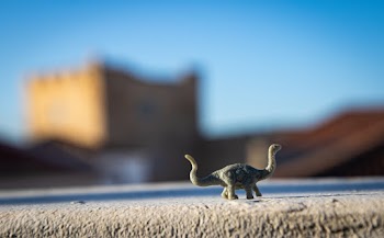 Shallow Focus Photo of Gray Dinosaur Toy