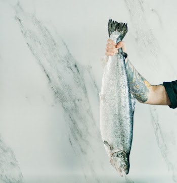 Shallow Focus Photo of Gray Fish