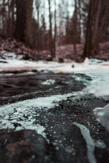 Shallow Focus Photo of Gray Ground