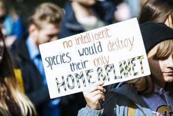 Shallow Focus Photo of No Intelligent Species Signage