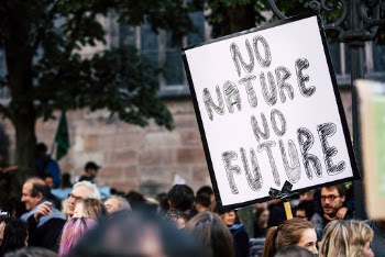 Shallow Focus Photo of No Nature No Future Signage