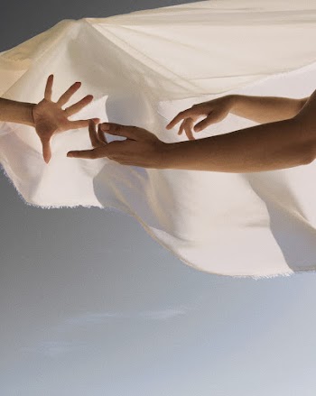Shallow Focus Photo of People Hands