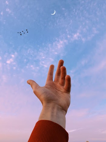 Shallow Focus Photo Of Person's Left Hand