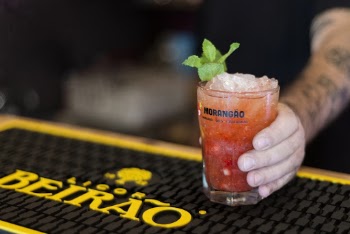 Shallow Focus Photo of Person Holding Glass Filled With Ice