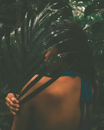 Shallow Focus Photo of Person Holding Green Leaves