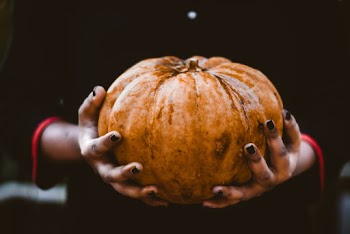 Shallow Focus Photo of Person Holding Orange Pumpkin