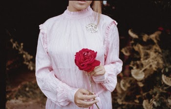 Shallow Focus Photo of Person in Pink Long-sleeved Shirt Holding Red Flower