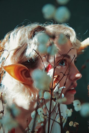 Shallow Focus Photo of Person Near White Flowers