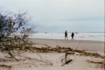 Shallow Focus Photo of Person on Seashore