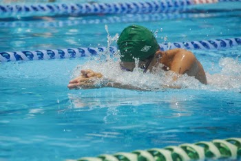 Shallow Focus Photo of Person Swimming