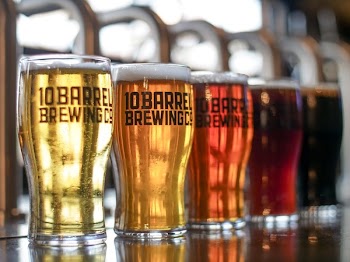 Shallow Focus Photo of Pilsner Glasses