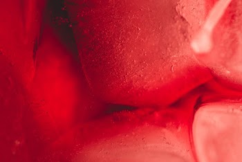Shallow Focus Photo of Red Flower