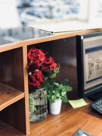 Shallow Focus Photo of Red Flowers