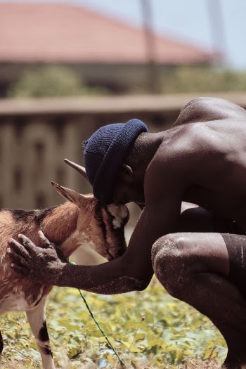 Shallow Focus Photo of Shirtless Man Touching Brown Goat