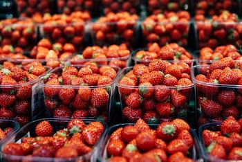 Shallow Focus Photo of Strawberries