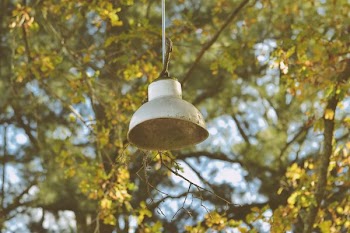 shallow focus photo of white street lamp