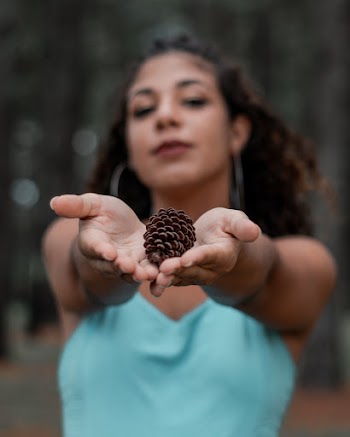 Shallow Focus Photo of Woman Holding Pine Cone