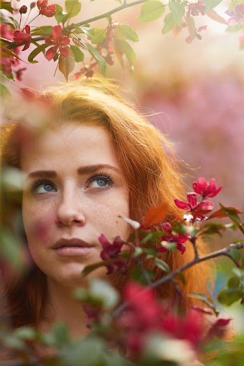 Shallow Focus Photo of Woman Near Plants