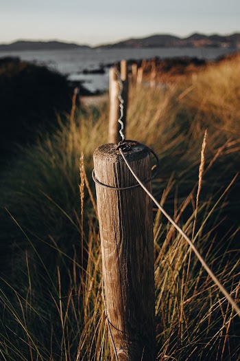 Shallow Focus Photo of Wooden Wire Fence