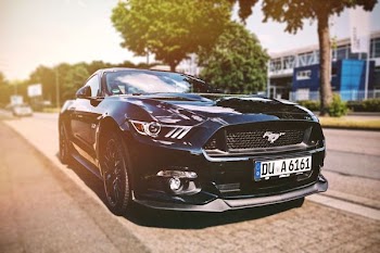 shallow focus photography black Mustang sports car parked beside the street